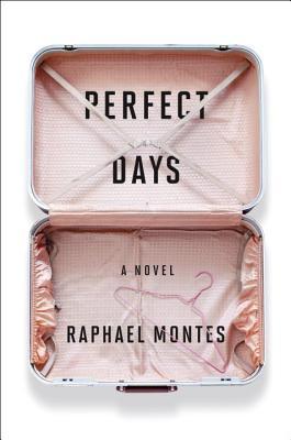 Perfect Days: A Novel